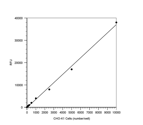 Cell Meter™荧光法细胞毒性检测试剂盒   货号22782