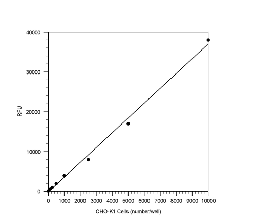 Cell Meter 荧光法细胞毒性检测试剂盒 货号22781