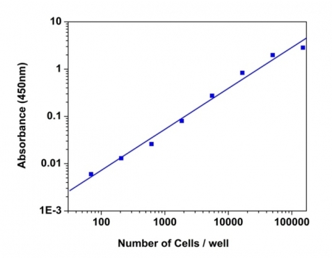 Cell Meter 比色法WST-8细胞定量试剂盒    货号22771