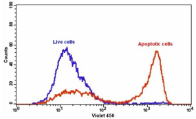 Annexin V-iFluor 700标记    货号20077