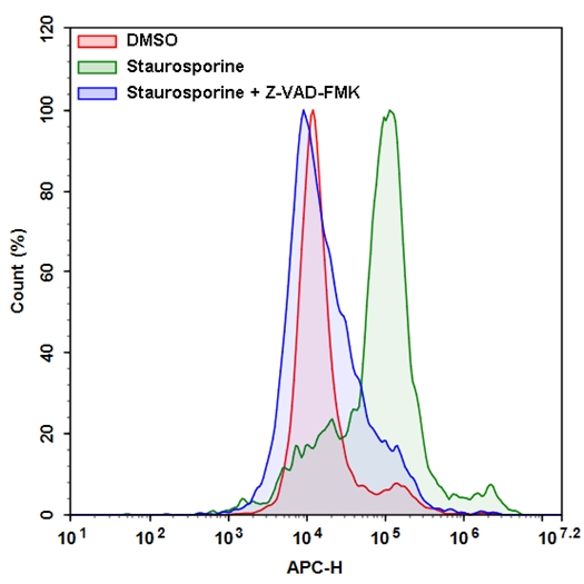 Cell Meter Caspase 8活性细胞结合检测试剂盒 红色荧光    货号20116