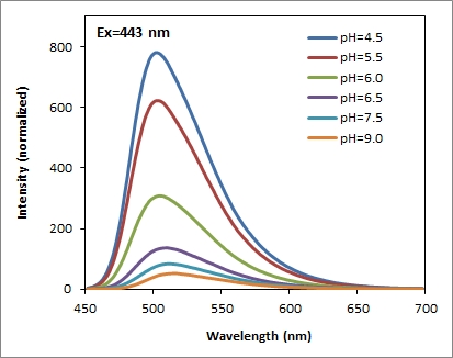 Protonex 绿 500WS pH荧光探针    货号21218