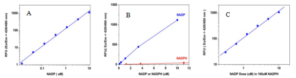 Amplite NADP检测试剂盒（荧光法）蓝色荧光     货号15281