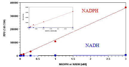 Amplite NADP+/NADPH检测试剂盒（荧光法） 红色荧光    货号15259