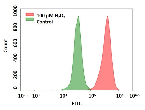 活性氧 Cell Meter 细胞内荧光法过氧化氢检测试剂盒 绿色荧光适用于流式细胞仪     货号11506