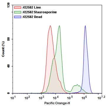 Live or Dead 固定化死细胞标记试剂盒 橙色荧光    货号22502