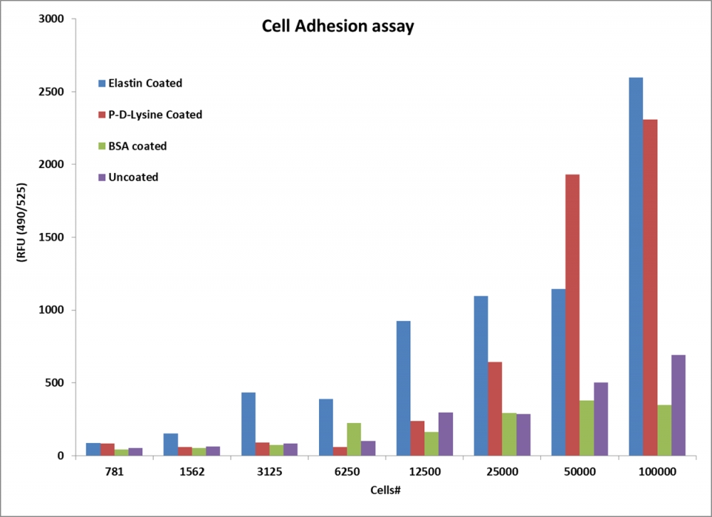 Cell Meter™细胞粘附测定试剂盒    货号23010