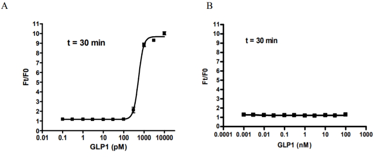 Screen Quest 胰高血糖样受体1表达细胞株    货号38005