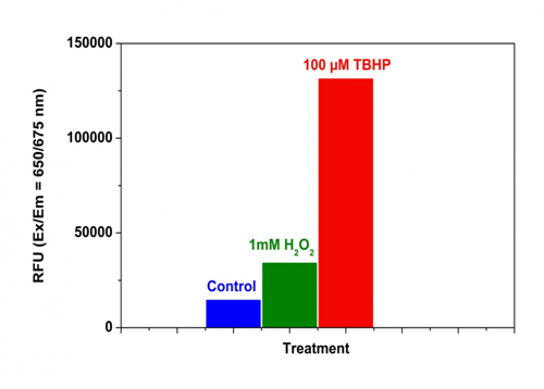 活性氧 Cell Meter 荧光法胞内总ROS检测试剂盒 深红色荧光     货号22903