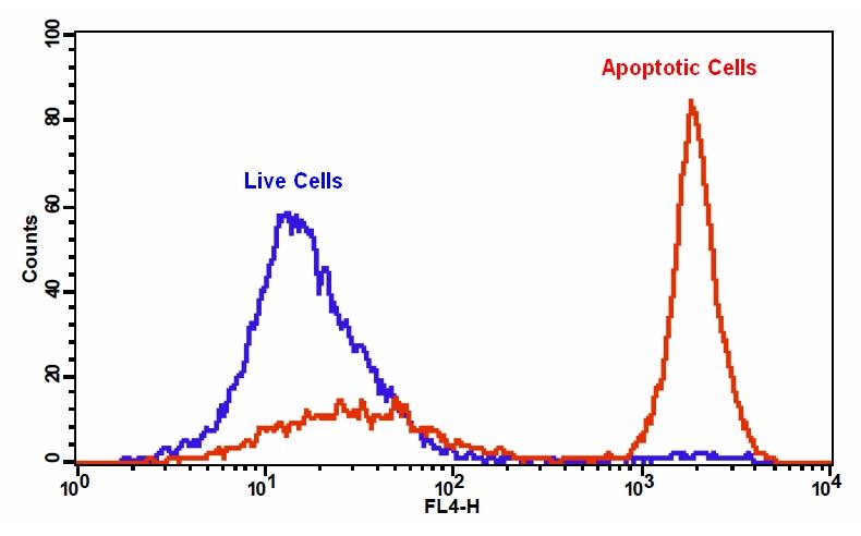 Cell Meter 磷脂酰丝氨酸细胞凋亡检测试剂盒 红色荧光 适合于流式细胞检测     货号22832