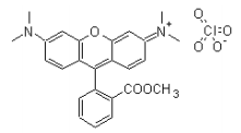 四甲基罗丹明甲酯 TMRM  CAS 115532-50-8    货号22221