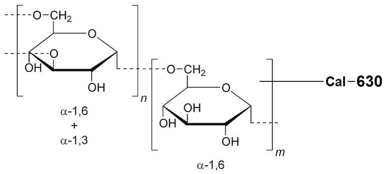 钙离子荧光探针Cal-630-Dextran Conjugate *MW 3,000*（停产）    货号20545