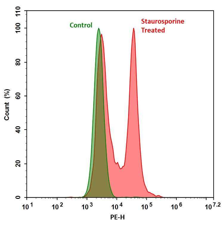 Cell Meter 活细胞Caspase 3/7结合检测试剂盒 红色荧光     货号20101