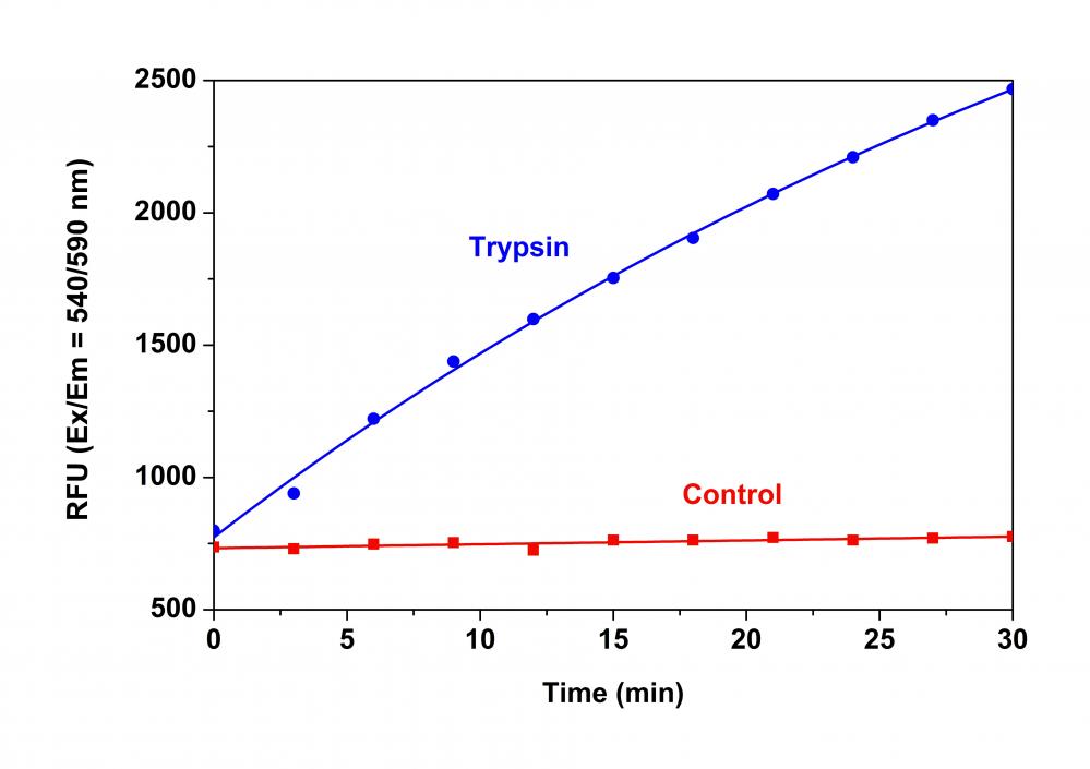 Amplite 荧光法通用型蛋白酶活性检测试剂盒 红色荧光     货号13501