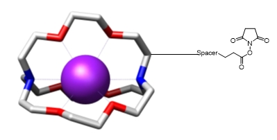 trFluor Eu 穴状化合物 琥珀酰亚胺酯    货号1431