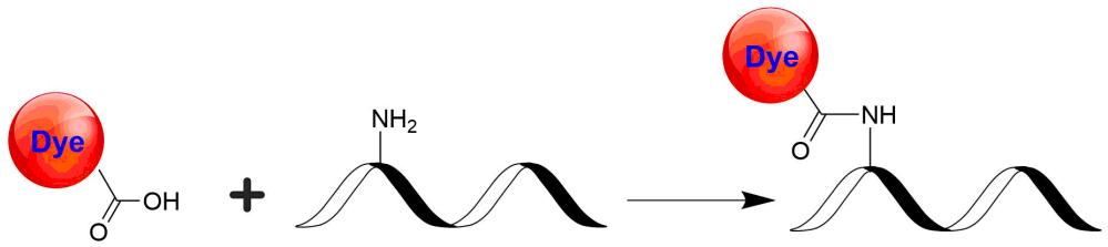 iFluor 820 酸    货号1395