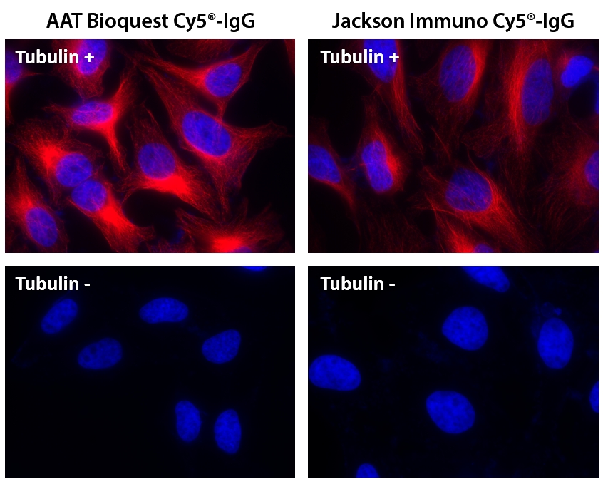 Cy5 NHS酯  CAS 146368-14-1    货号151